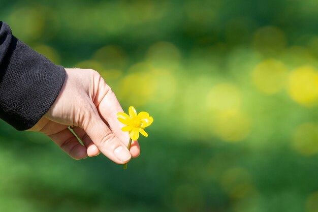 Buttercup in hand, green background