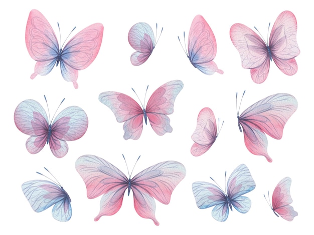 나비는 날개와 페인트로 섬세하게 날아다니는 분홍색 파란색 라일락입니다. 손으로 그린 수채화 그림 디자인을 위해 흰색 배경에 격리된 요소 집합