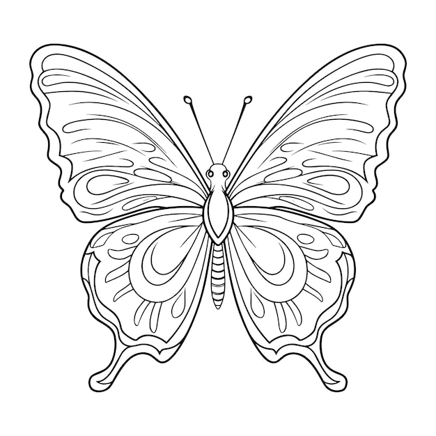 butterflies creative kids' coloring book