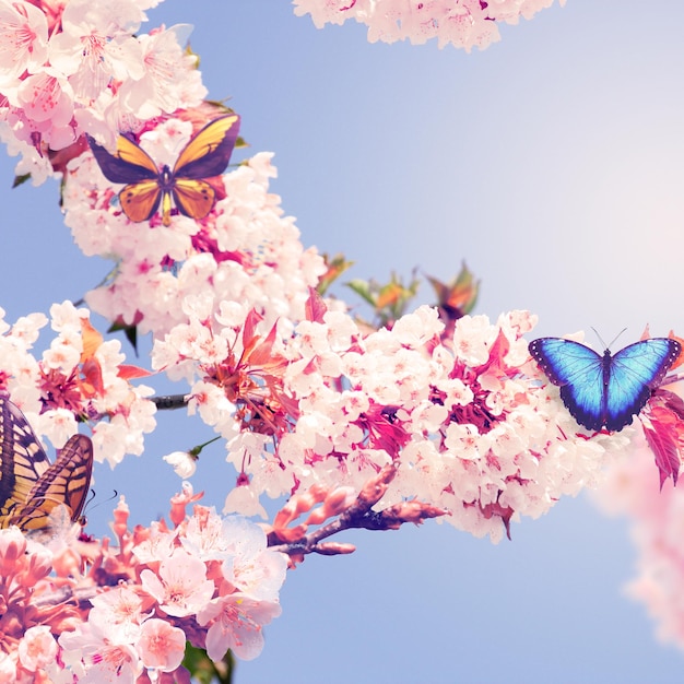 Butterfly and a beautiful nature view of spring flowering trees on blurred background