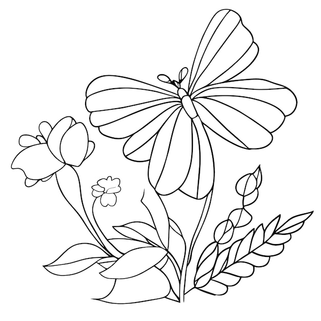 Butterfly coloring page