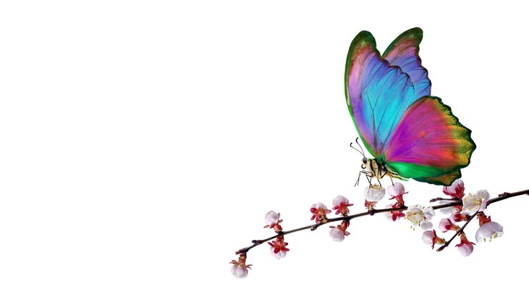 Photo a butterfly is on a branch with flowers