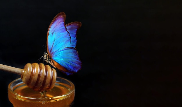 A butterfly is on a glass and a black background