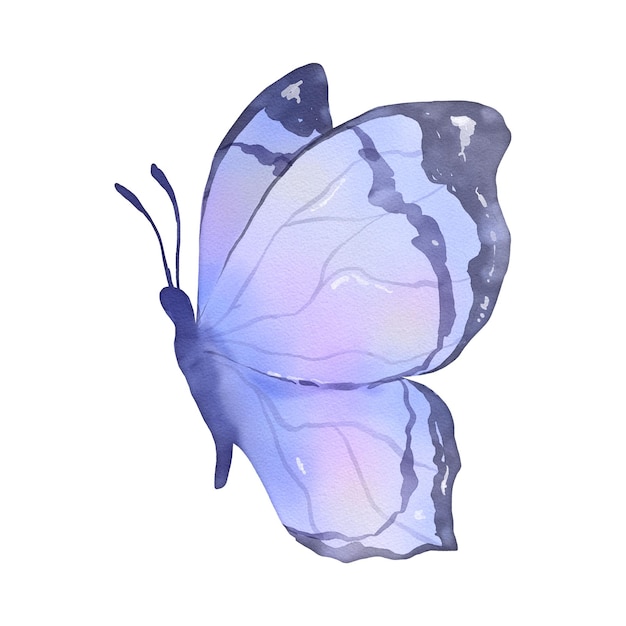 Фото Бабочка в разных стилях бабочка с изолированным белым фоном 41