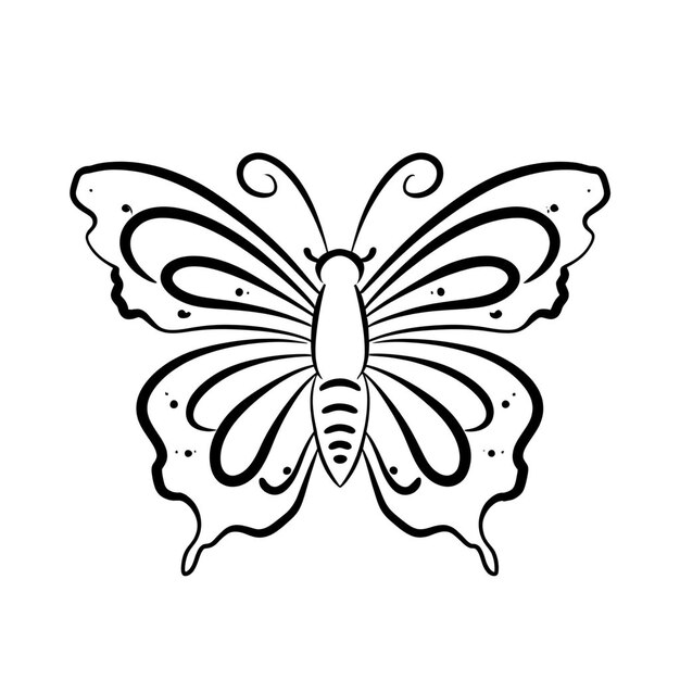 Butterfly outline image