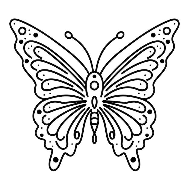 Photo butterfly outline