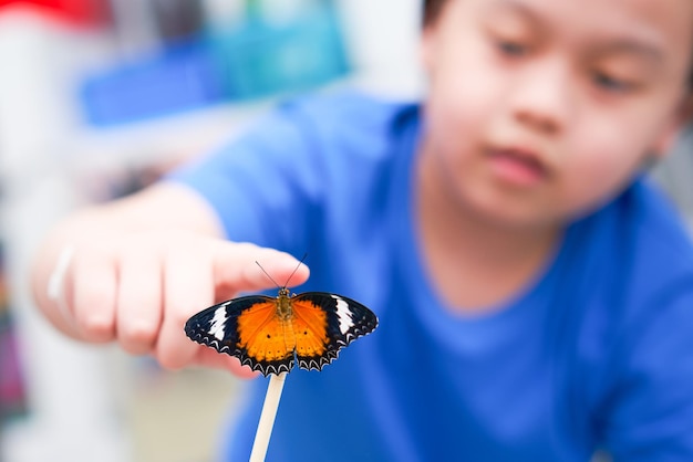 Butterfly perched on chopsticks The boy was reaching out and touching the background blurry.Â 