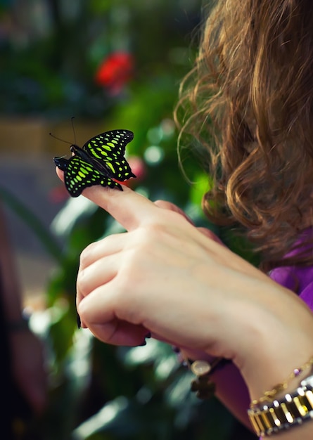 ドバイの庭で女性の手に蝶が座る