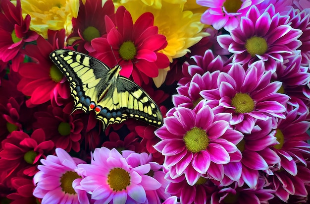 A butterfly sits on a bouquet of flowers with a butterfly in the center.