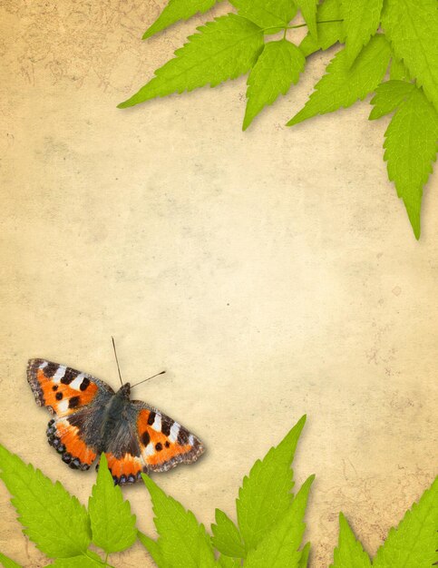 a butterfly sits on a piece of paper with leaves