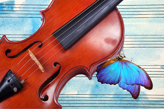 A butterfly on the violin