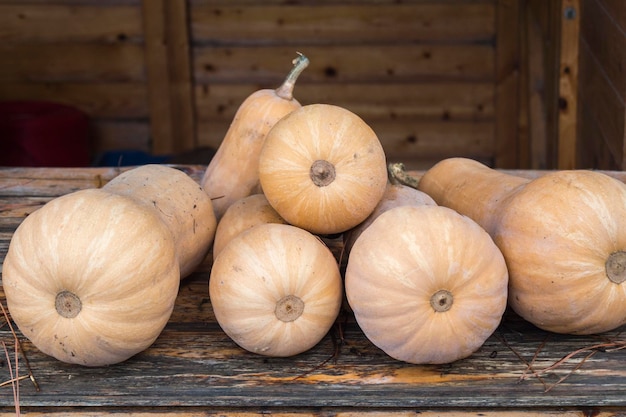 Butternut Pompoenen