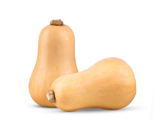 Butternut 스쿼시 흰색 배경에 고립