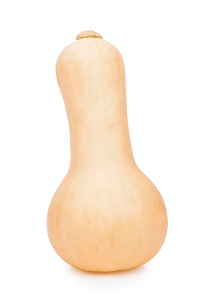 Butternut squash isolated on white background