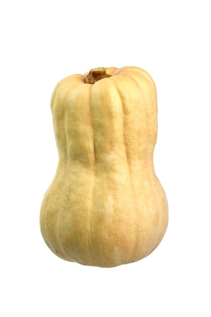 Butternut squash isolated on white