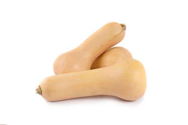 Butternut squash isolated