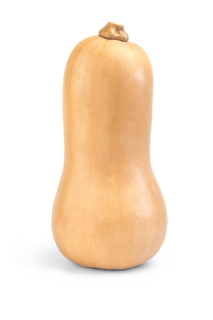 Butternut squash, pompoen geïsoleerd