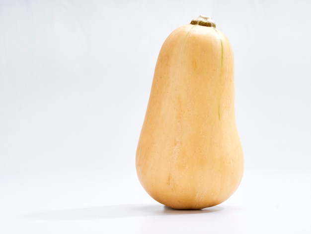 Butternut squash on white wall.