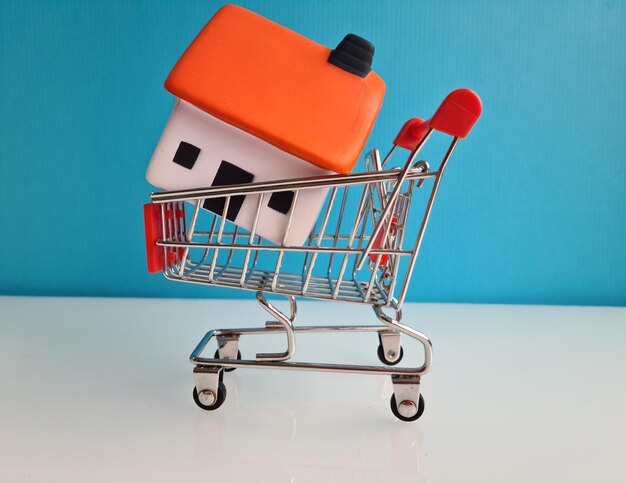 Buy house and real estate concept shopping trolley