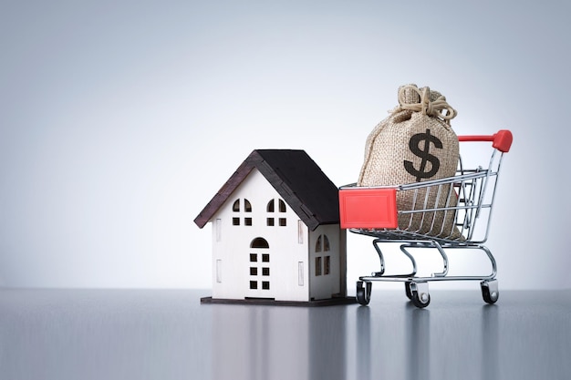 Buying new house concept. Bag with money in shopping cart and model of house on grey background.