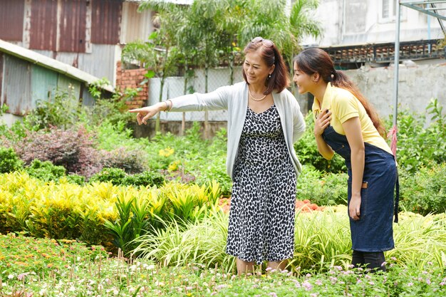 Acquistare piante al gardening center