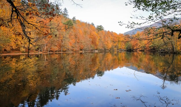 Buyuk Lake in Yedigoller National Park Turkey