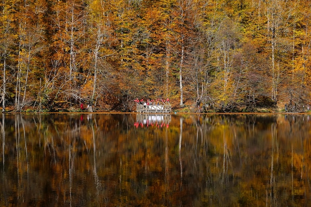 Buyuk-meer in Yedigoller National Park Bolu, Turkije