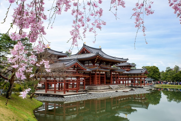 Byodo-в виске в Uji, Киото, Японии во время весны. Вишневый цвет в Киото, Япония.