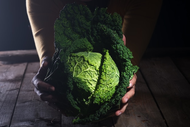 Photo cabbage from organic grower farm