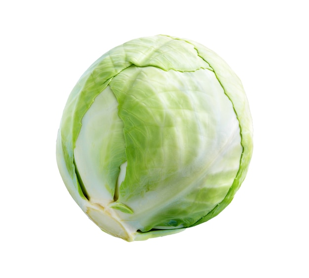 Cabbage isolated on white surface