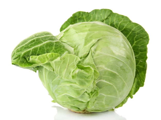 Cabbage isolated on white