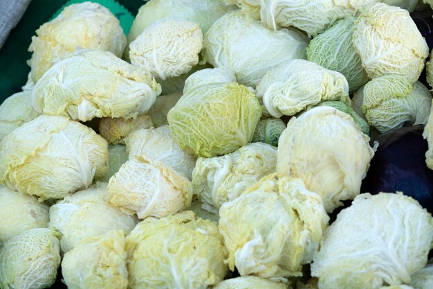 Cabbage kraut for sale at the market