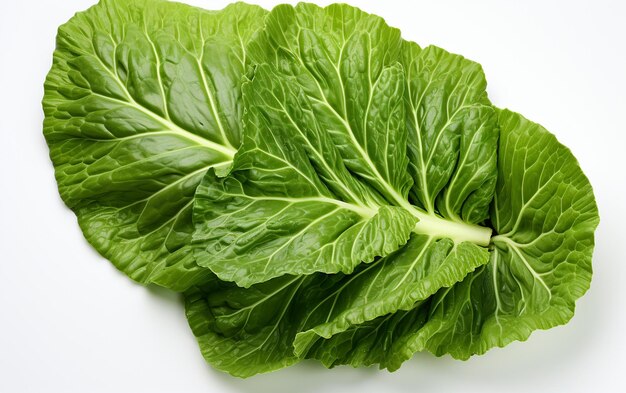 Photo cabbage leaf isolated on clear background