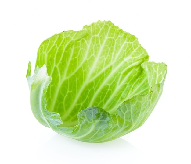 cabbage leaf on white background