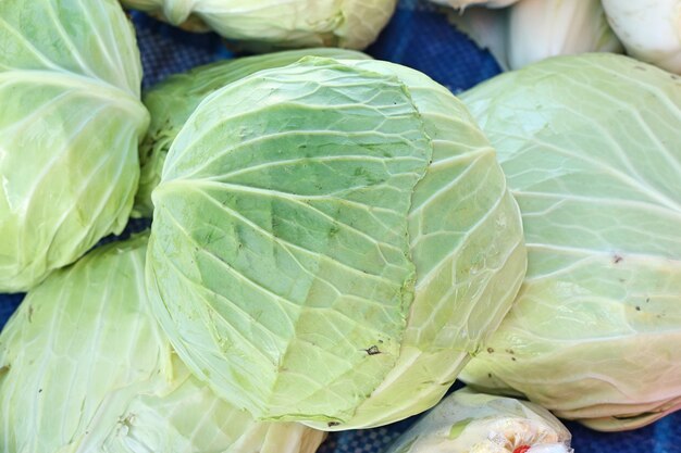 cabbage at the market