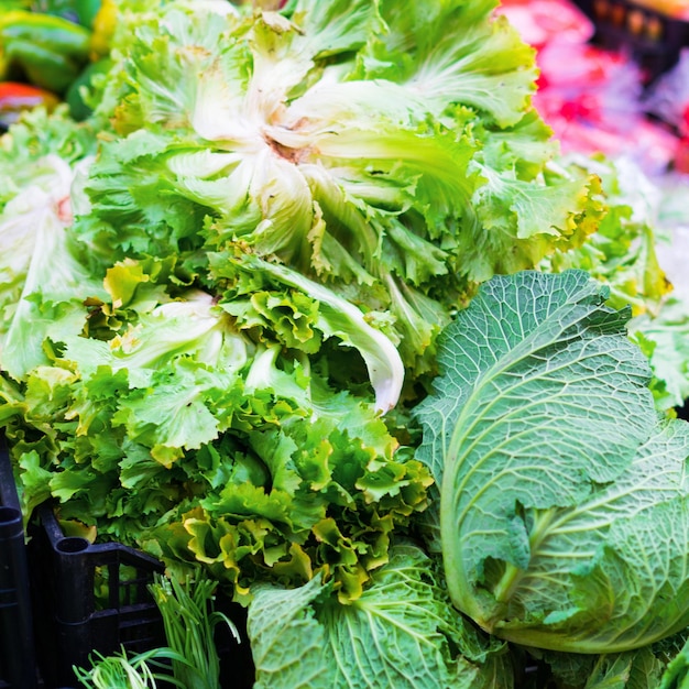 Foto verdure di cavolo in vendita in un mercato agricolo all'aperto italia