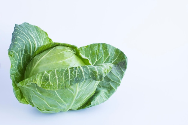 Cabbage on the white background Closeup Copy space