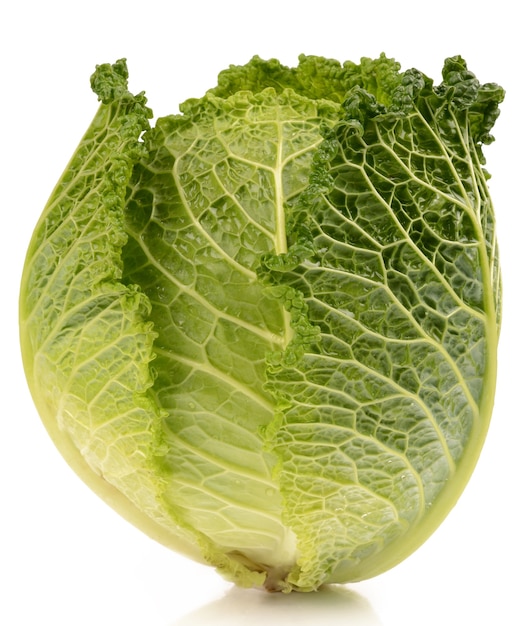 Cabbage on a white background