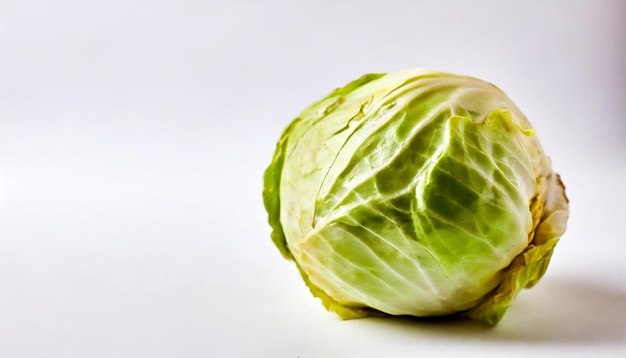 cabbage on white background