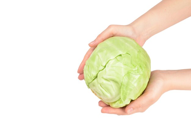 Cabbage in woman hand isolated on white surface