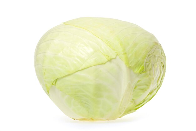 Cabbage