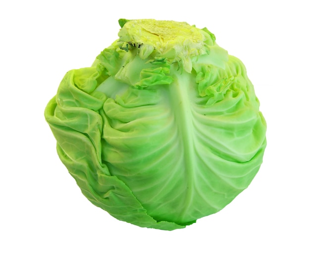 Photo cabbage