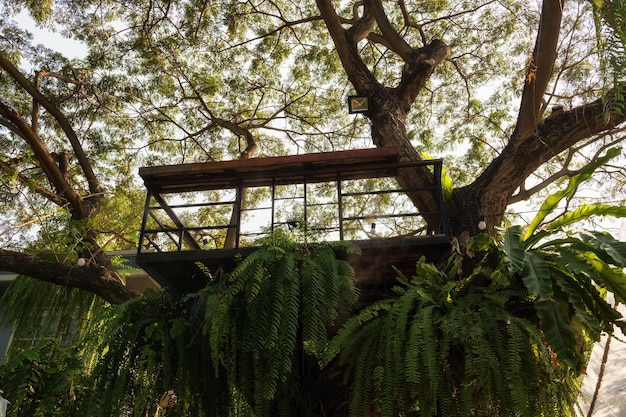 cabin aerial viewpoint on big tree with plant decoration modern garden exterior and design
