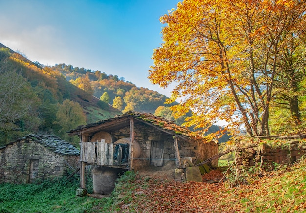 Cabin in a lost place