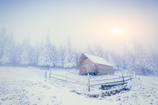 Photo cabin in the mountains in winter