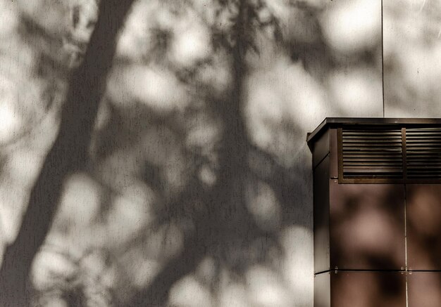 A cabinet with a tree shadow on the wall