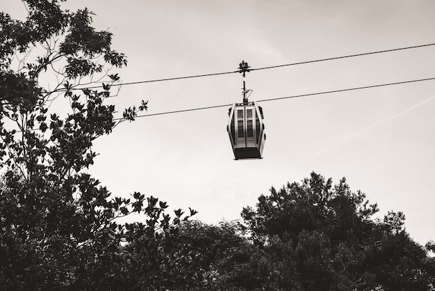 Photo cable car suspended over the trees in a park