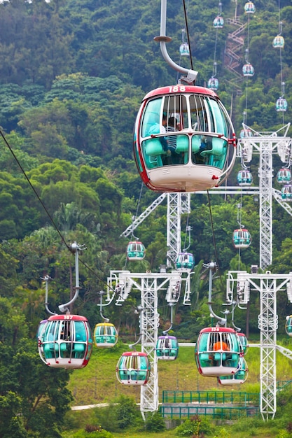 Cable cars over tropical trees in Hong Kong