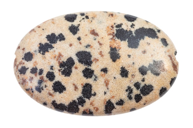 Cabochon from Dalmatian Jasper rock isolated