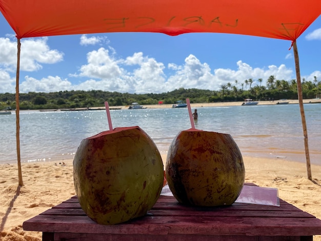 Cacao en kokosnoot op caraiva strand Bahia Brazilië